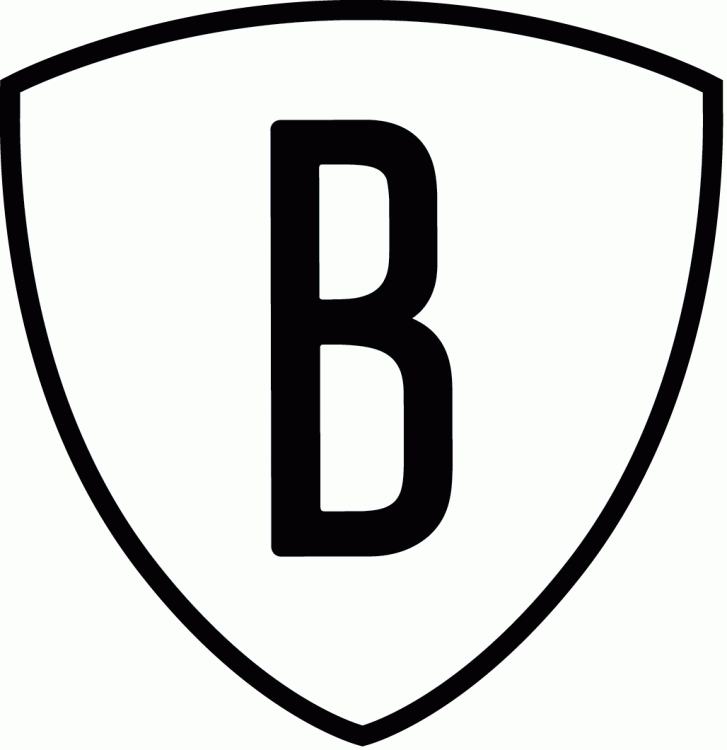 Brooklyn Nets 2012-2014 Alternate Logo fabric transfer version 3
